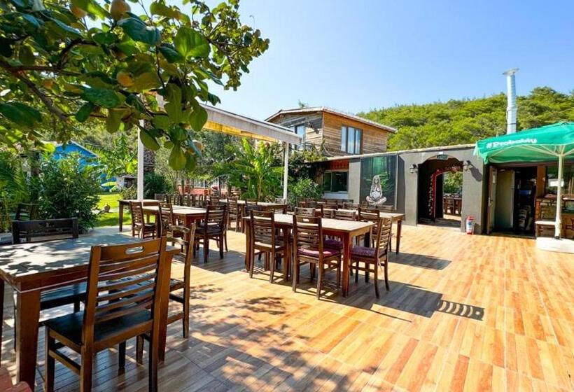 مبيت وإفطار Gaia Bungalow