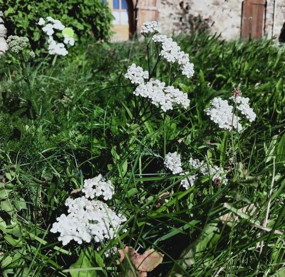 تختخواب و صبحانه Rectoria Nova