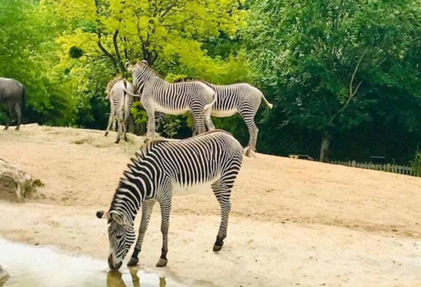 펜션 Chambres D Hôtes Le Jardin De La Pichonnerie Proche Du Zoo De Beauval & Des Chateaux De La Loire
