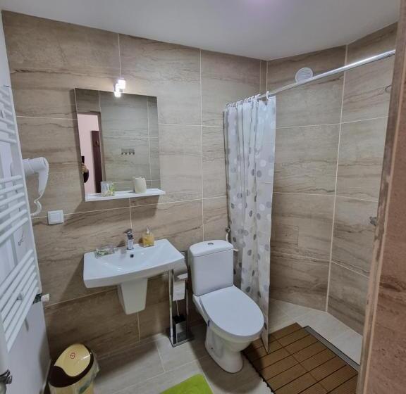 بنسيون Vila Roxana Busteni