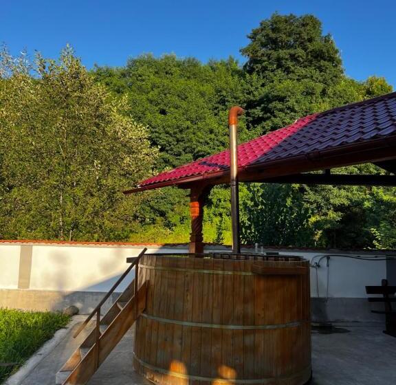 פנסיון Casa Guriță