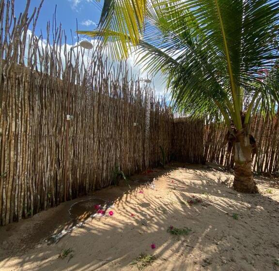 הוסטל The Jungle, Village & Beach