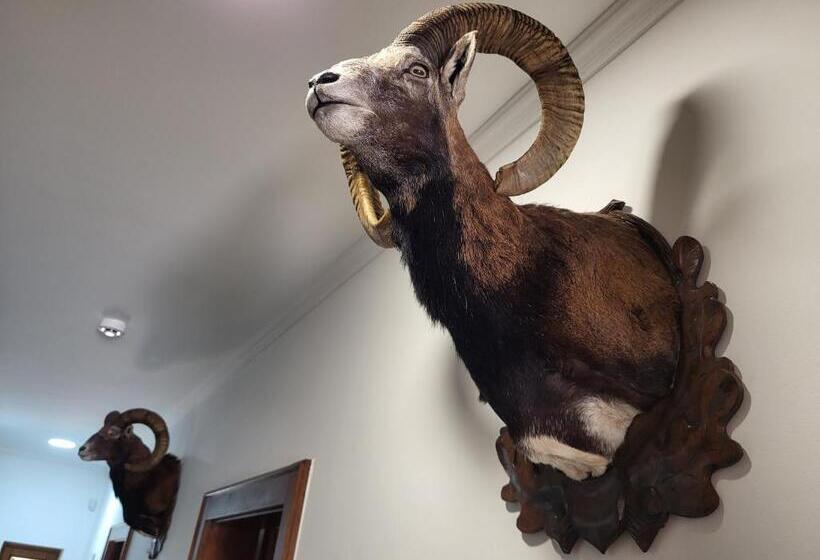 민박 Senyői Vendégház