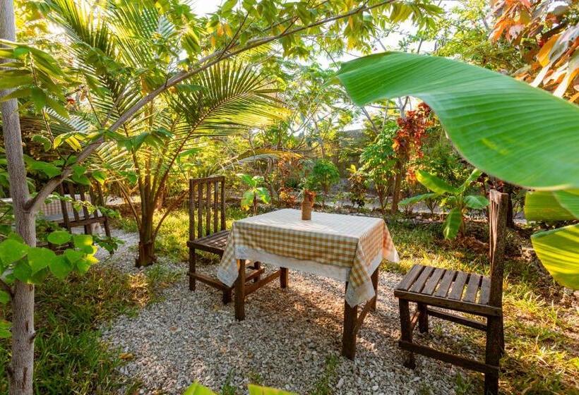 تختخواب و صبحانه Tropicana Boutique