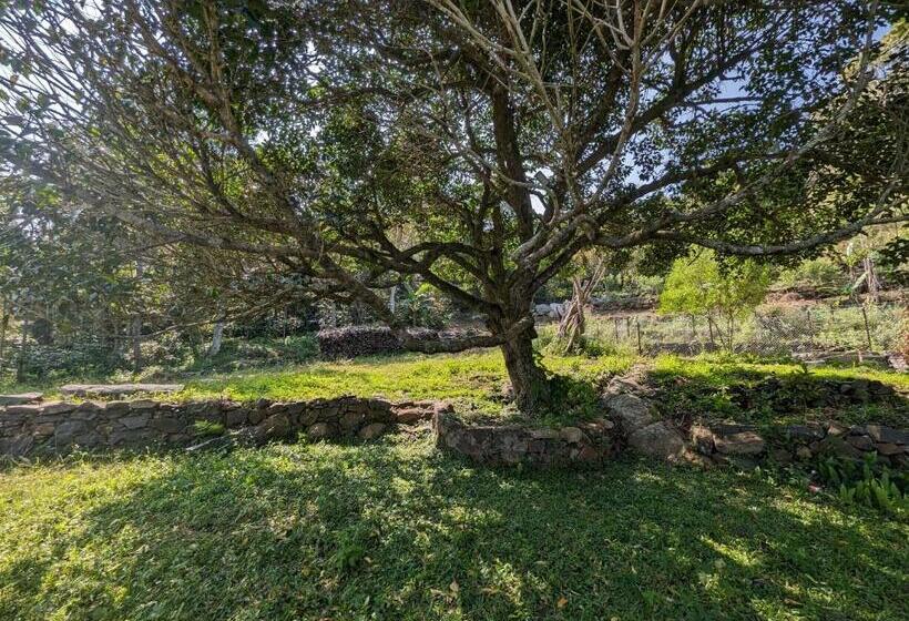 هتل Highlanders Farm Stay