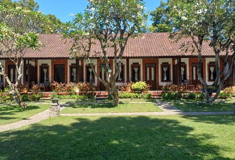 Отель The Beach Bungalows & Turtle Sanctuary