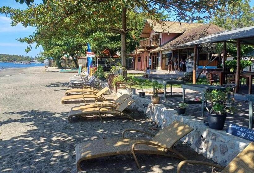 Отель The Beach Bungalows & Turtle Sanctuary