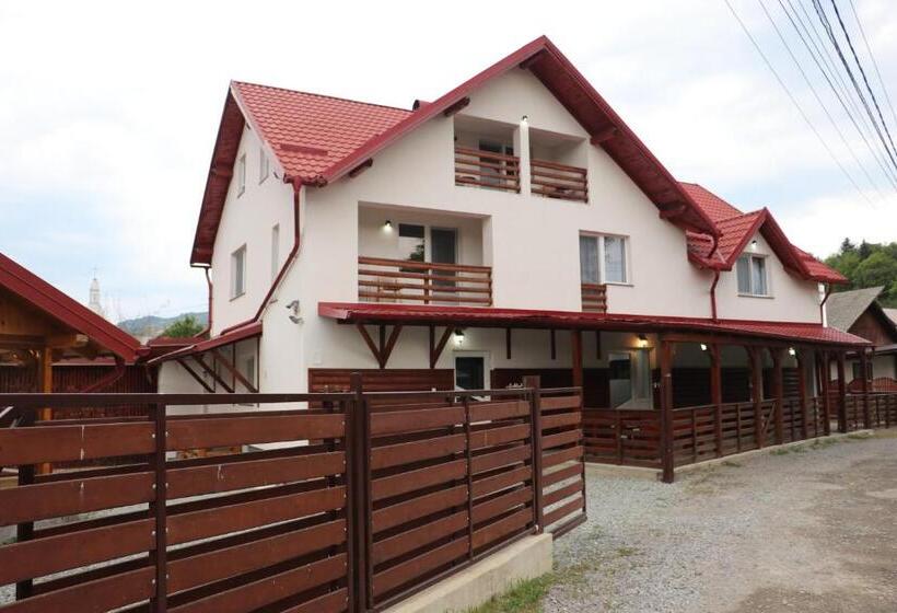 호스텔 Casa Camelia