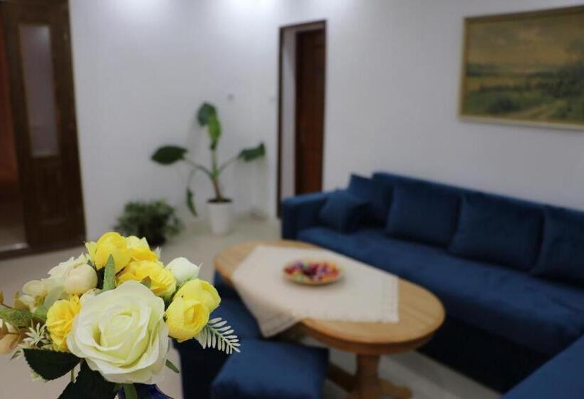 호스텔 Casa Camelia