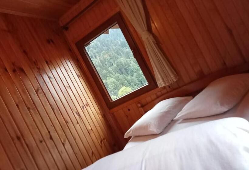 مبيت وإفطار Ayder Petek Apart Otel