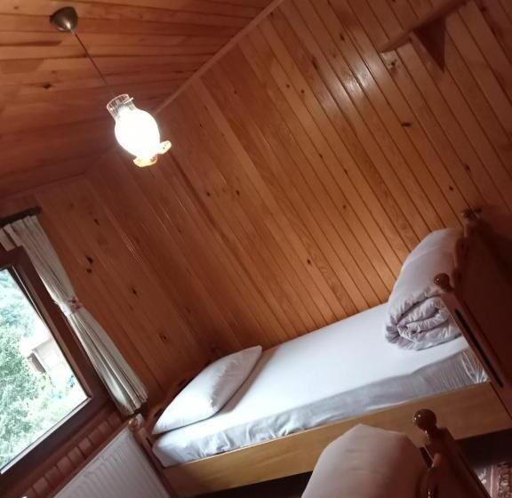 مبيت وإفطار Ayder Petek Apart Otel