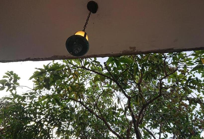 ベッドアンドブレックファースト Canaan Music