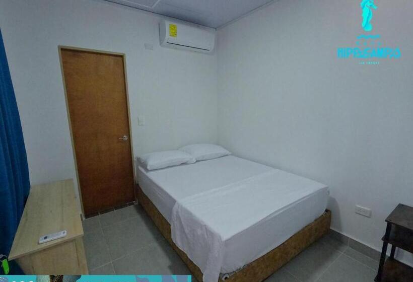 تختخواب و صبحانه Sukha Hippocampus San Andrés Isla