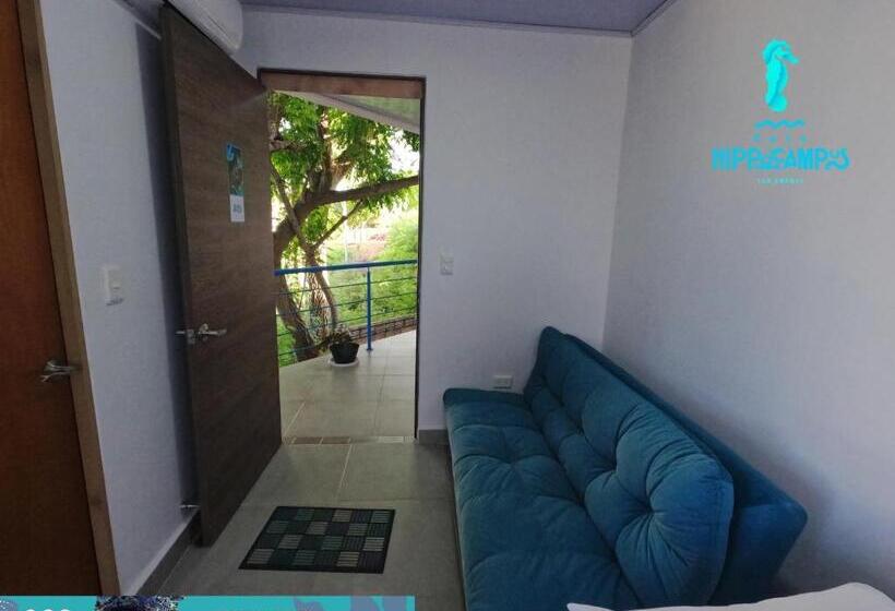 تختخواب و صبحانه Sukha Hippocampus San Andrés Isla