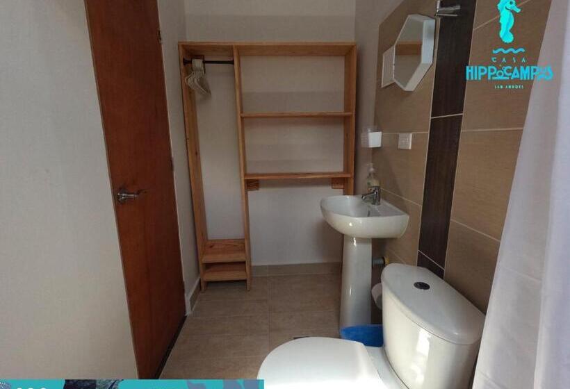 تختخواب و صبحانه Sukha Hippocampus San Andrés Isla