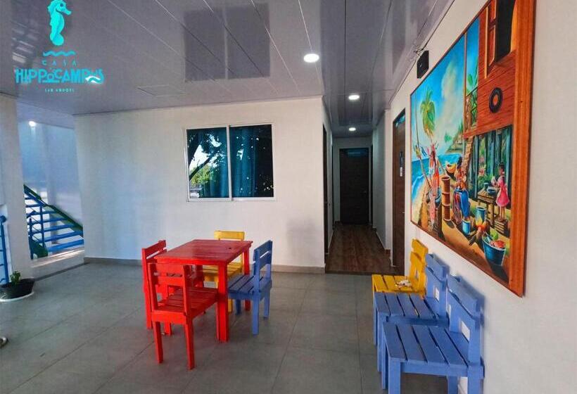 تختخواب و صبحانه Sukha Hippocampus San Andrés Isla