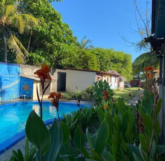 پانسیون Room In Cabin   Beach Cabana Breakfast And Pool