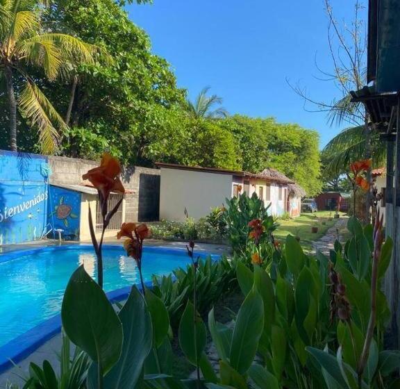 پانسیون Room In Cabin   Cabana With Breakfast And Pool On The Beach
