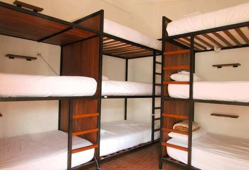 تختخواب و صبحانه Nomad Hostel