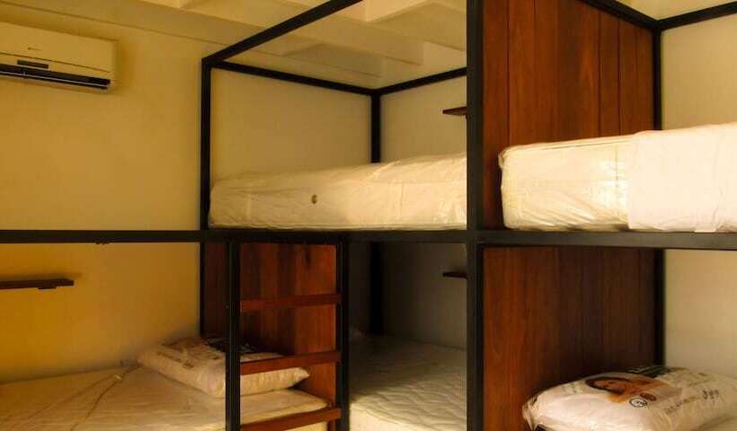 تختخواب و صبحانه Nomad Hostel