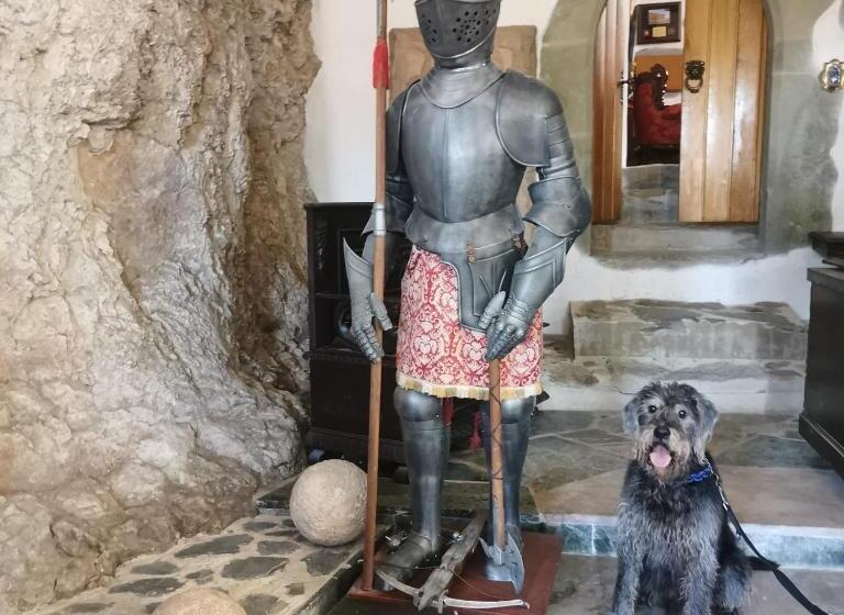 تختخواب و صبحانه Burg Hermannstein   Monks Room