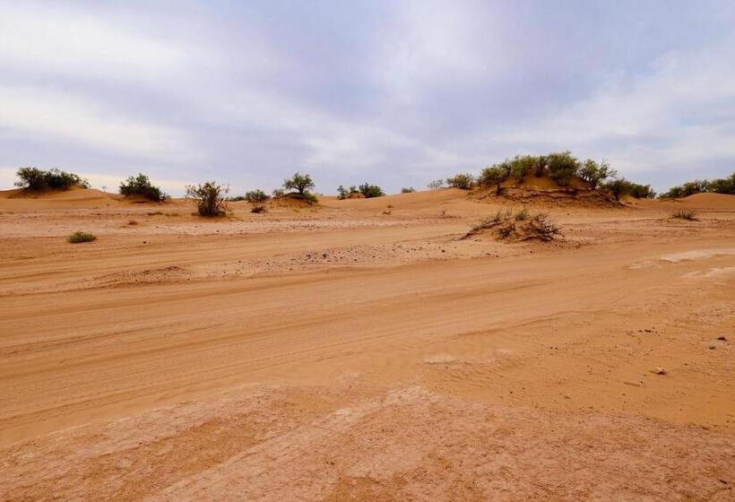 تختخواب و صبحانه Mhamid El Ghizlane Essence