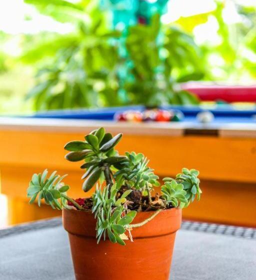 هتل El Paraiso Campestre