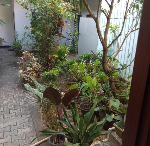هتل Nightingale Inn