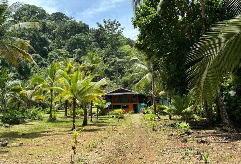 هاستل Mar Y Selva