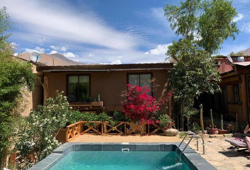 Bed and Breakfast Casa Gabriela, Monte Grande ,valle De Elqui