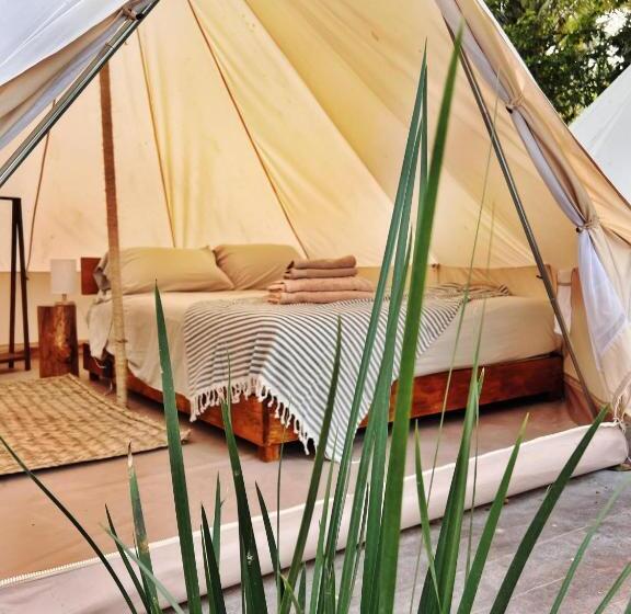 هتل Shamalay Nomad Experience