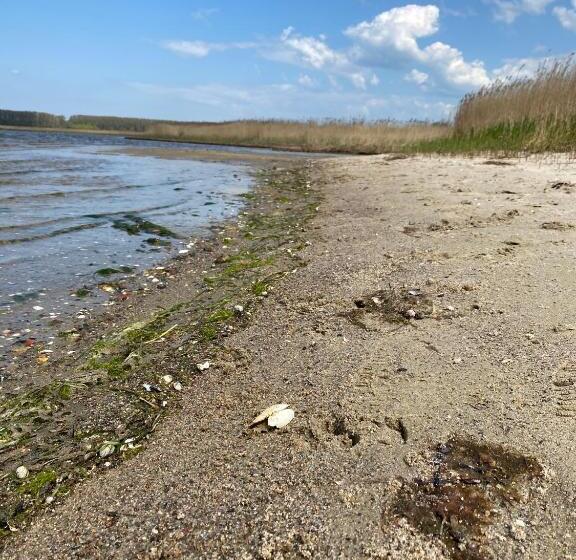 فندق Urlaub Unterm Storchennest Im Ostseeland Rerik
