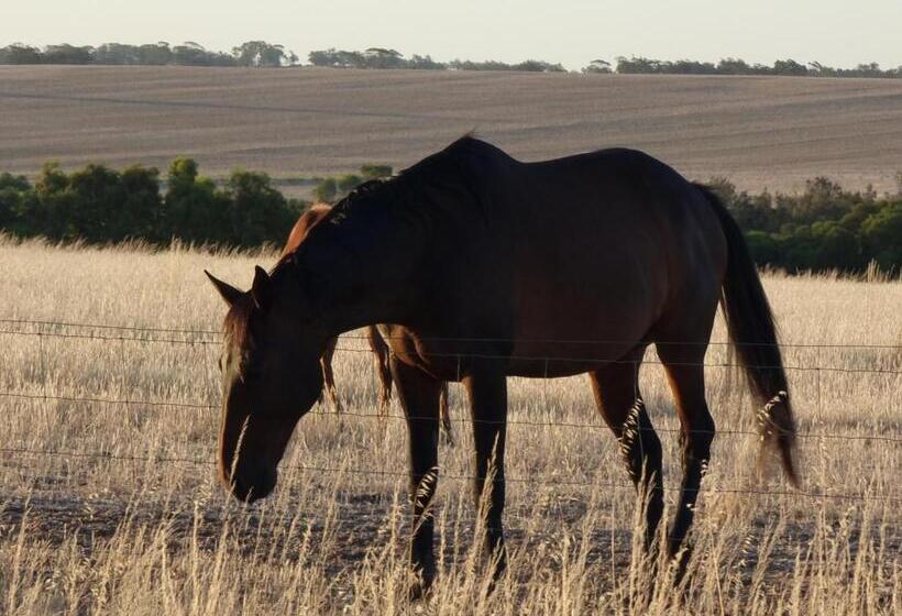 בית מלון כפרי Boshack Outback Farmstay   Perth Eco Farm
