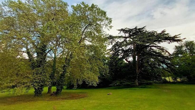 ホテル Domaine De La Tremblère