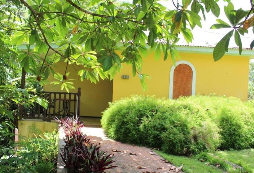 هتل El Oasis