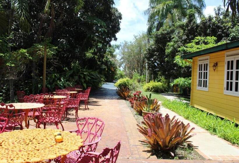 هتل El Oasis