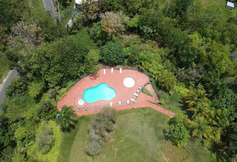 هتل El Oasis