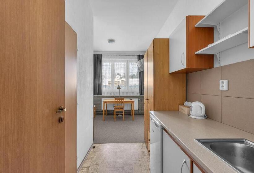 پانسیون Apartmány A Ubytování Přemyslova, Hradec Králové