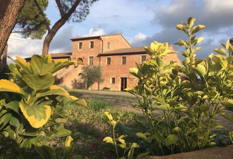Podere La Ceppa1
