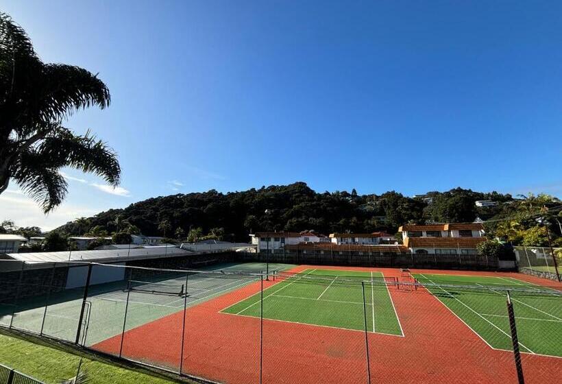 هاستل Palm Tree Lodge & Backpackers