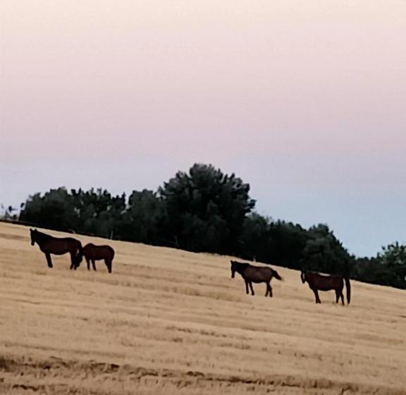 펜션 Red Cedar Ranch
