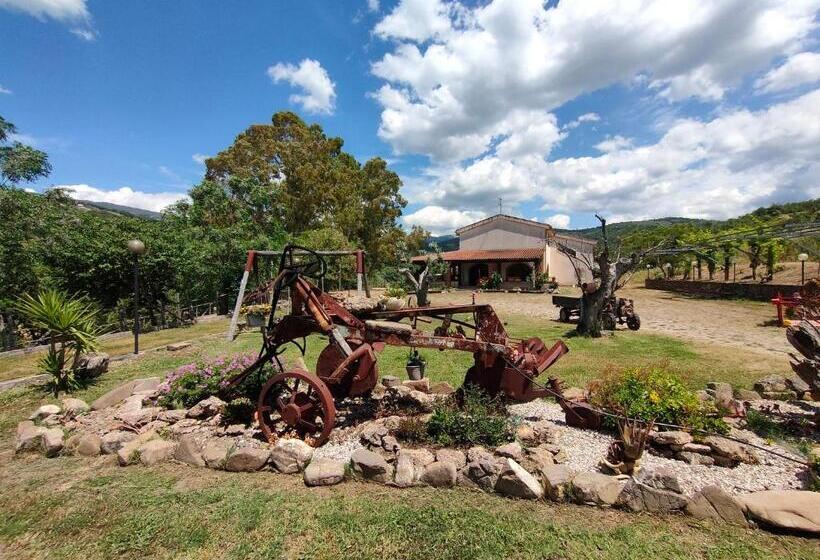 住宿加早餐  Azienda Agrituristica Verdevalle