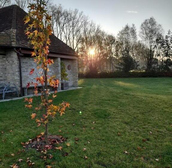 Bed and Breakfast Dielpenhof