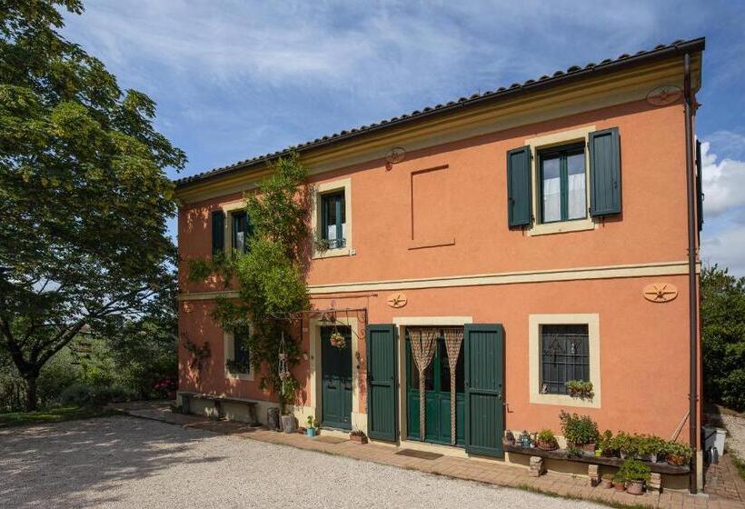 B&b Viadelcampo