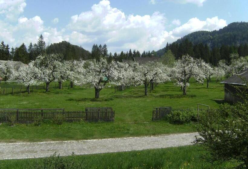 בית מלון כפרי Binterhof Familie Mosser