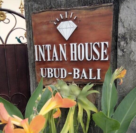 펜션 Intan House