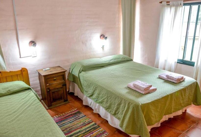 Cabañas Verde Y Blanco