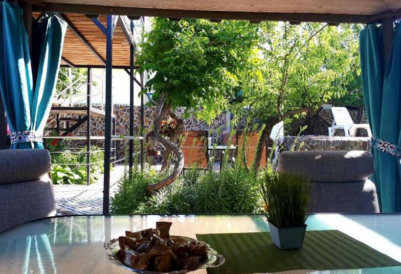 بنسيون Guest House Barkhat