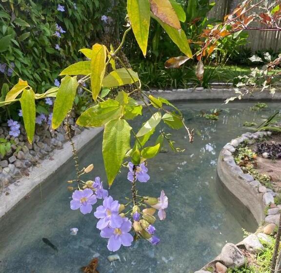 هاستل Pousada Jacarandá