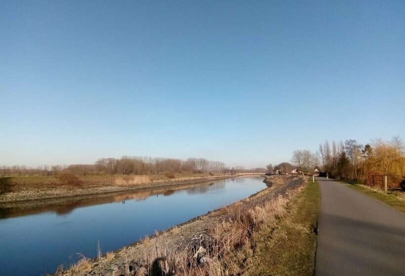 B&b De Stuifduinen